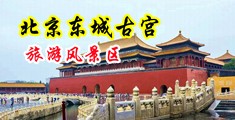 猛男暴力强奸美女动态图中国北京-东城古宫旅游风景区